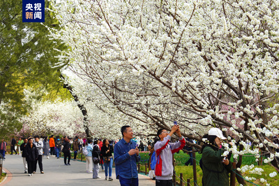 清明假期北京市屬公園及中國園林博物館游客接待量超218萬人次，景區管理成效顯著