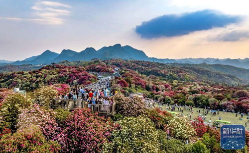 詩(shī)意中國(guó)丨春日上春山 景區(qū)管理的詩(shī)意與秩序