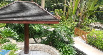 南寧嘉和城溫泉谷游覽全攻略 門票、地址、游玩路線與管理解析