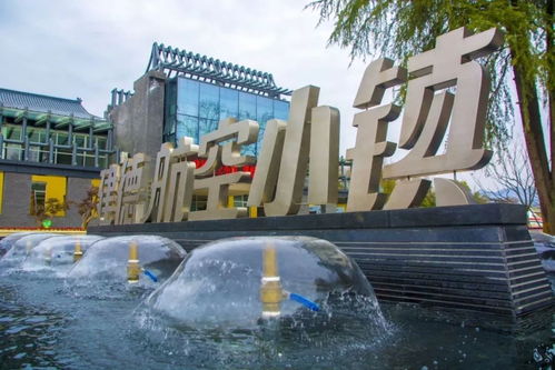 福利來襲！建德航空小鎮獲評國家4A級景區，免費溫泉等您來暢享